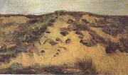 Vincent Van Gogh Dunes(nn04) oil painting